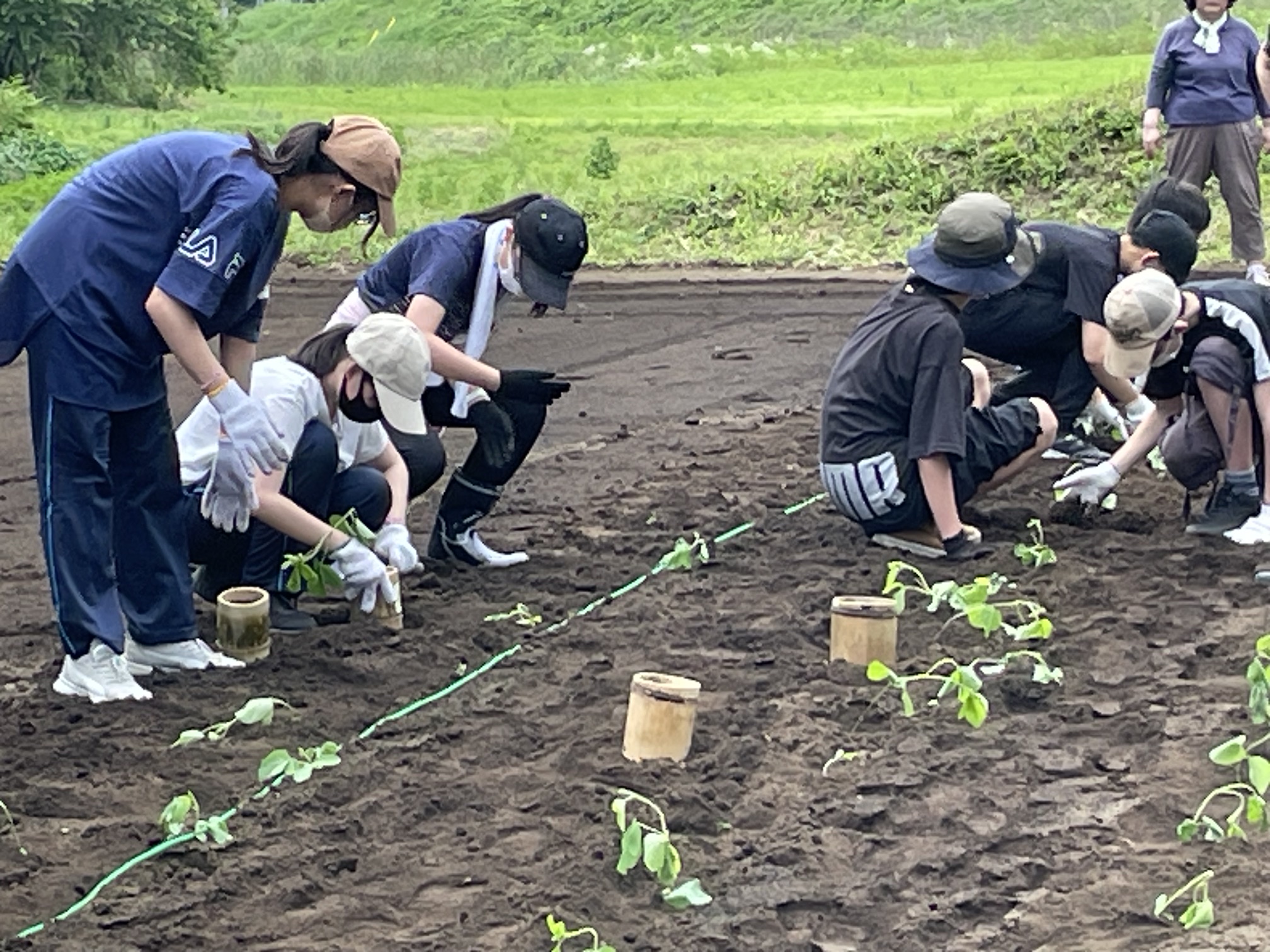 日本の大豆文化を、
畑から食卓まで。