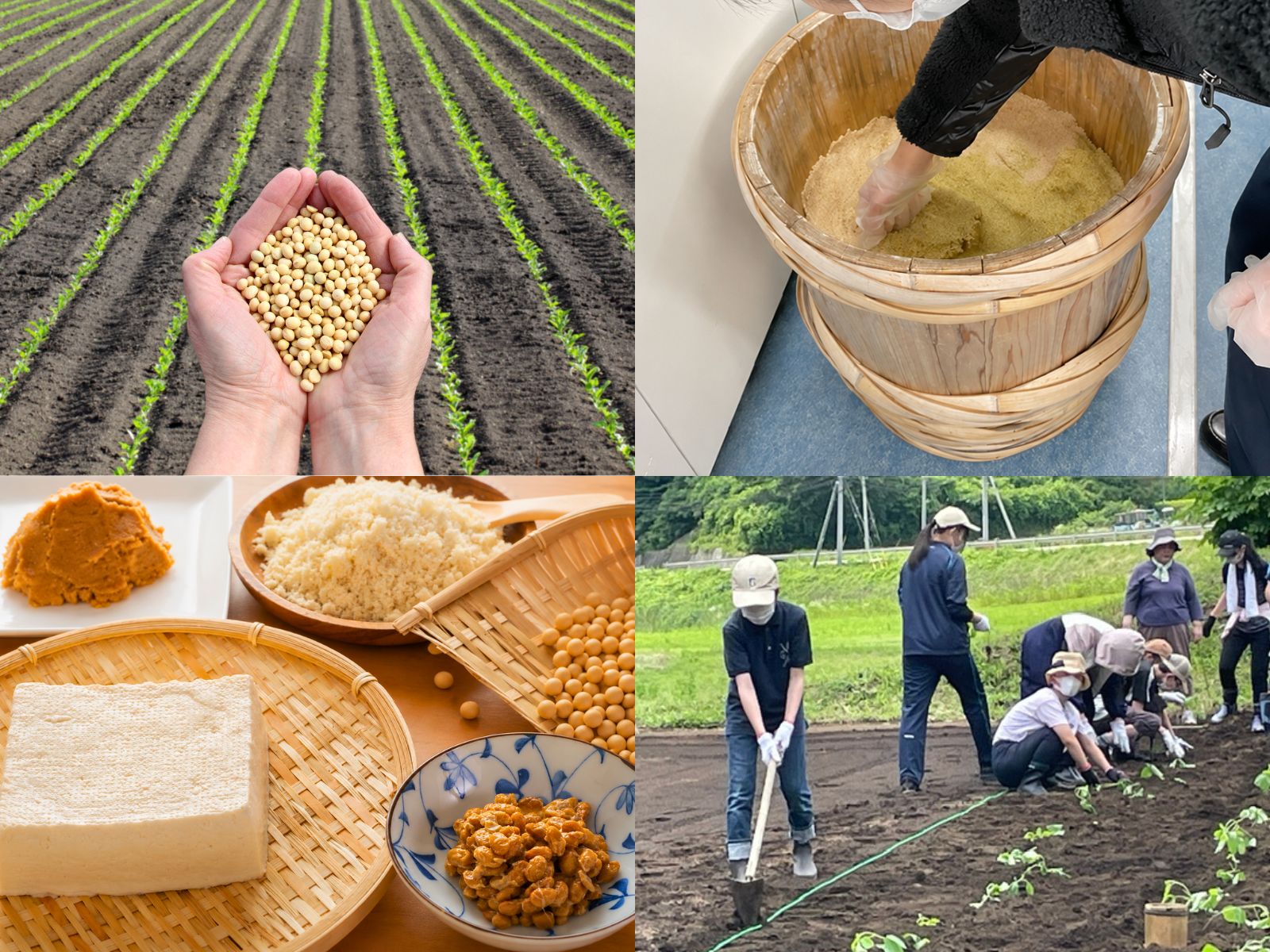 日本の大豆文化と、私たちの使命。