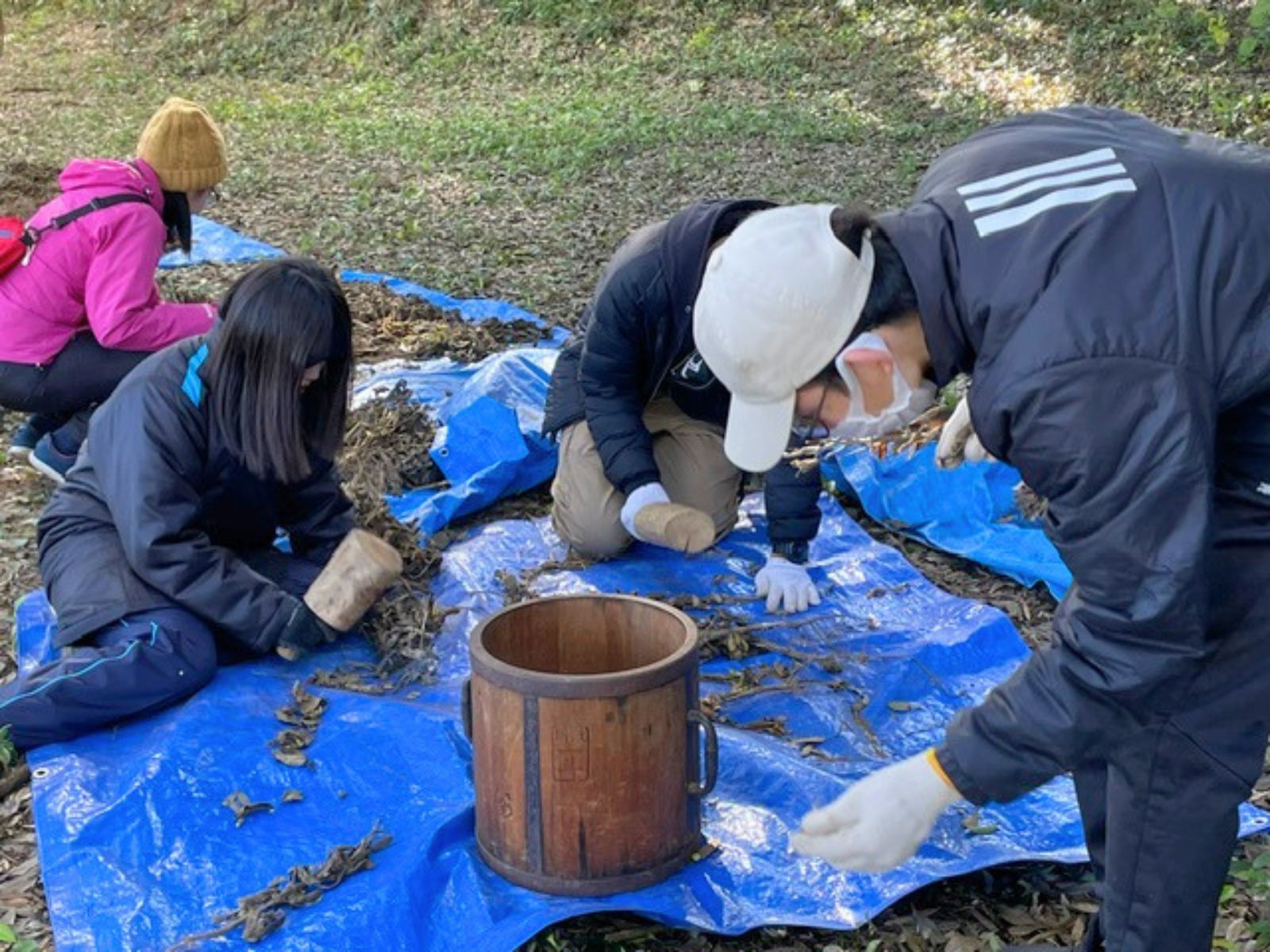 収穫した大豆を脱穀する様子