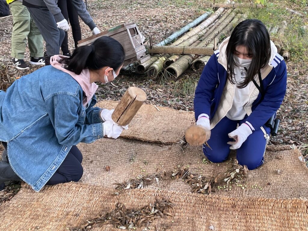 大豆収穫